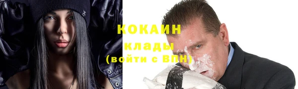 гидра Абаза