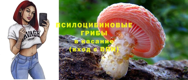 первитин Алексин