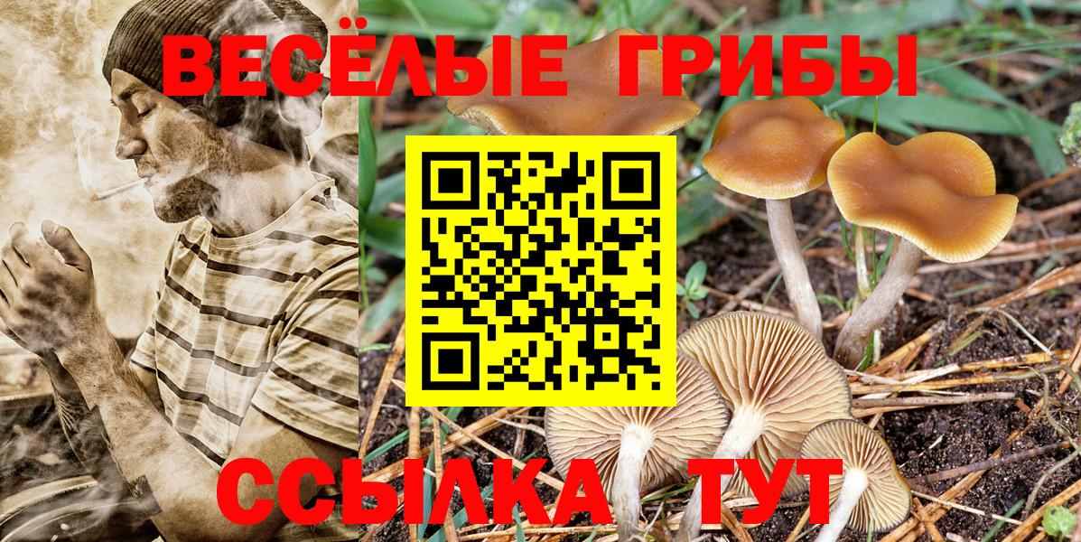 наркота  Вход с VPN  Елизово  Галлюциногенные грибы Magic Shrooms  Псилоцибиновые грибы Magic Shrooms 