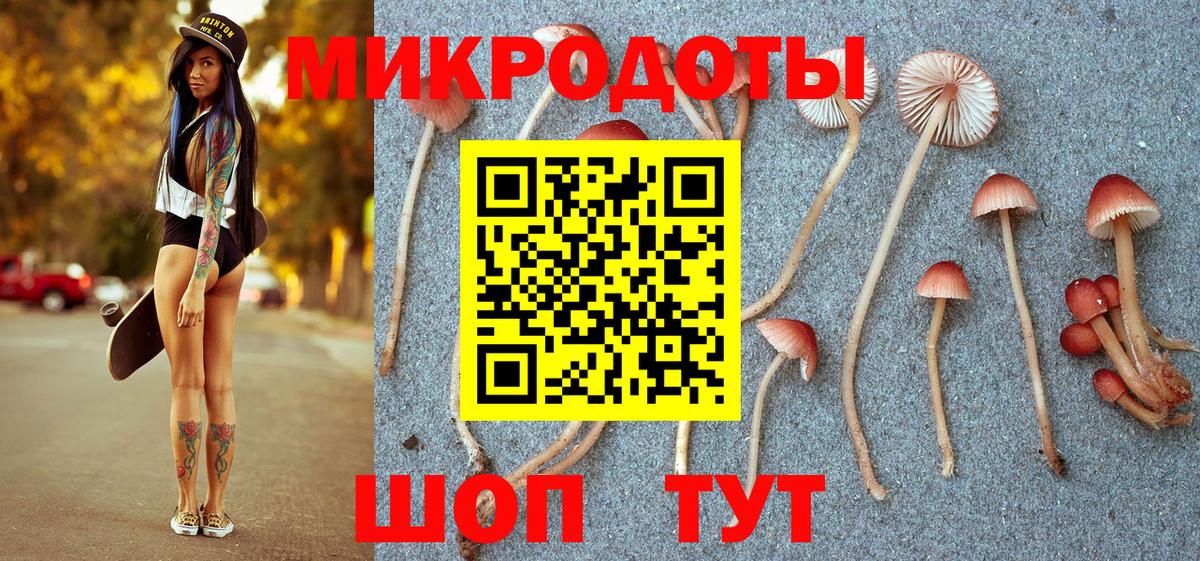 Галлюциногенные грибы мицелий Елизово